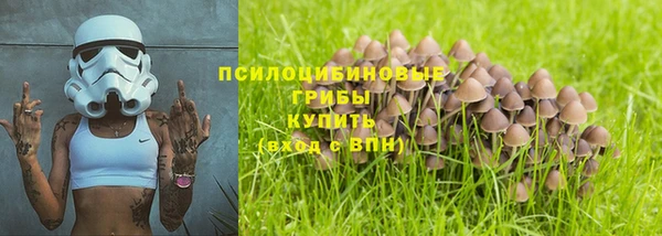 мет Балахна