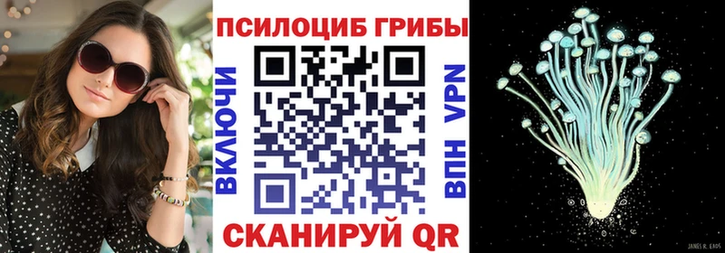 как найти   Кулебаки  Галлюциногенные грибы MAGIC MUSHROOMS 